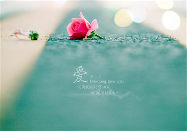 情感語(yǔ)錄丨善待自己，你值得更好的生活。