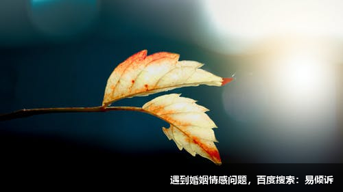 袁媛心理咨詢(xún)師/傾訴師-沒(méi)有好壞，只有不被看到，不被理解