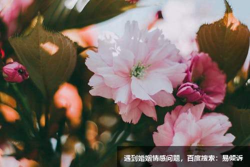 孫玉琳心理咨詢師/情感傾訴師，擅長(zhǎng)婚姻戀愛等親密關(guān)系中的情緒疏導(dǎo)