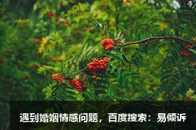 曾妍心理咨詢師/傾訴師-了解自我、探索自我