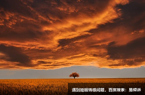 韓晉心理咨詢師-生命的過(guò)程，就是做自己，成為自己的過(guò)程