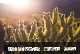 婆媳矛盾最好的處理方法,處理婆媳關(guān)系的黃金法則