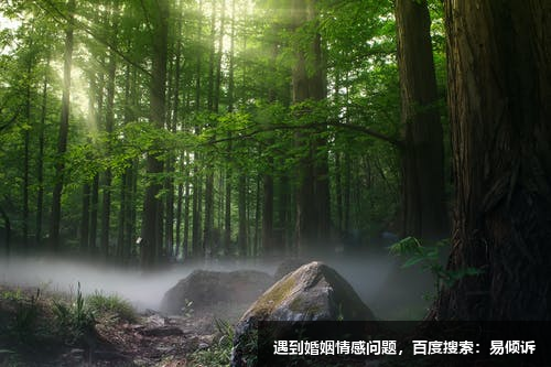 吳倩心理咨詢師-擅長敘事治療，心理動力取向，兒童游戲治療，意象對話