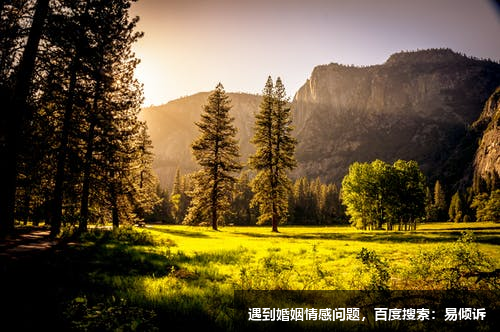 王志紅心理咨詢師/傾訴師，了解個(gè)人成長(zhǎng)所發(fā)生的問題