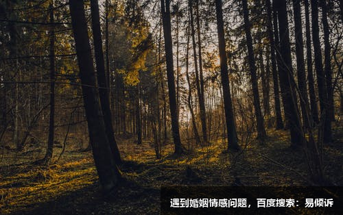 情山心理咨詢師-擅長人際關(guān)系、兩性心理、情緒疏導(dǎo)、婚姻戀愛、學(xué)業(yè)職場