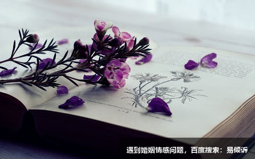周弗逸心理咨詢師/傾訴師，擅長職場心理工作等問題