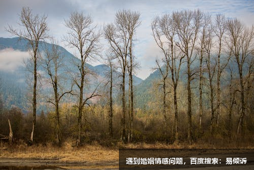 廣梅芳心理咨詢師-擅長分析心理學(xué)，整合取向咨詢
