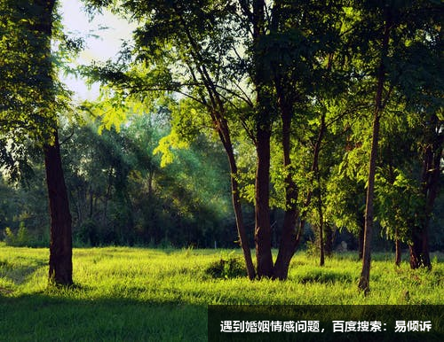 張慶心理咨詢師/傾訴師-總有一道亮光在溫暖著我們