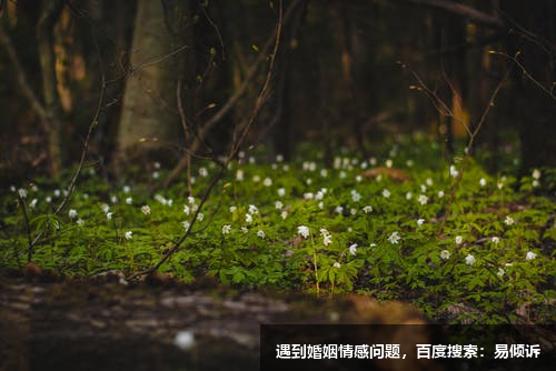 段建姬心理咨詢師/傾訴師，擅長解決婚姻生活中所遇到的問題