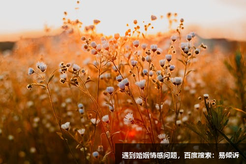 劉在英心理咨詢師/傾訴師-專業(yè)而專注，耐心而細(xì)致。
