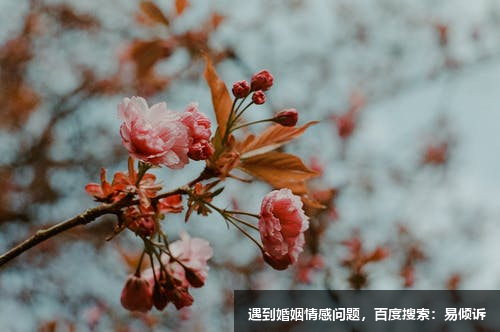 呂菁喆美國(guó)國(guó)家注冊(cè)心理咨詢師，擅長(zhǎng)情緒聚焦等療法