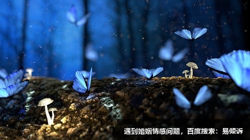 王燕心理咨詢師-擅長婚姻家庭伴侶溝通、婆媳關(guān)系、婚外情（三角關(guān)系）