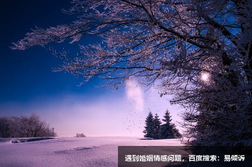 劉惠心理咨詢師-擅長認(rèn)知行為療法，人本主義取向，敘事治療，家庭治療