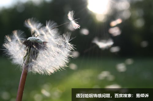 黃秀琴心理咨詢師/傾訴師-在心靈最深處相遇