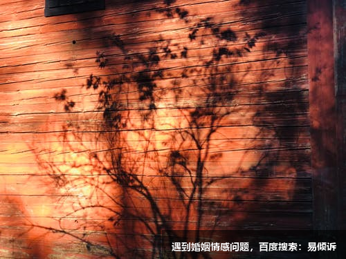 該怎樣維護(hù)長(zhǎng)期的戀愛關(guān)系