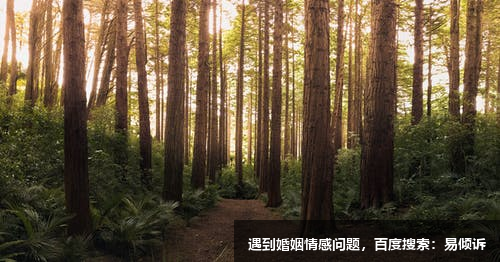 童林鋆心理咨詢師/傾訴師，擅長工作/學(xué)業(yè)壓力管理方面的問題