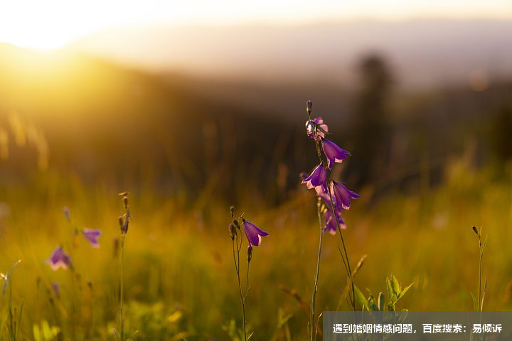 黃建軍心理咨詢師/傾訴師-促進(jìn)個(gè)體心理能力的提升