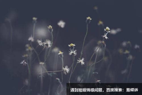 葉茂盛心理咨詢師/傾訴師，懂得處理家庭沖突等親密關(guān)系中的問題