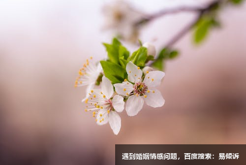江暉心理咨詢師/傾訴師，擅長心理創(chuàng)傷等各方面的問題