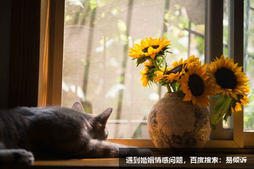 嚴(yán)林心理咨詢師/傾訴師，了解婚姻家庭缺乏安全感等問題的解決方法