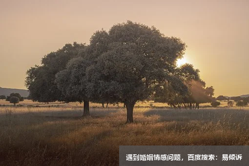 李雪心理咨詢師-擅長經(jīng)典精神分析，沙盤療法，認知行為療法