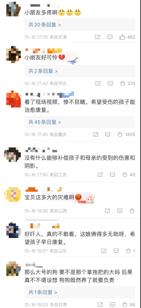 成都女童遭烈犬撕咬事件：必須將狗主人繩之以法！